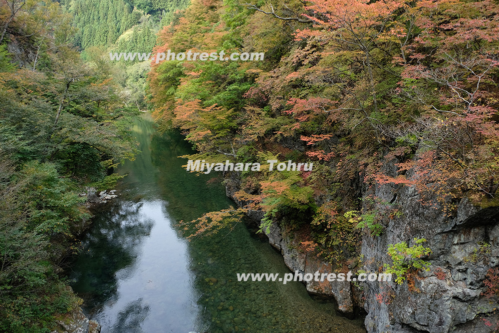 紅葉の片品川の写真素材 写真の森 フォレスト
