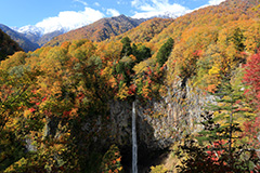 紅葉の白水の滝