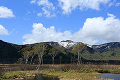 春の尾瀬ヶ原