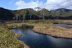 春の尾瀬ヶ原