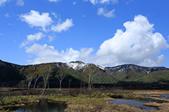 春の尾瀬ヶ原