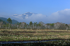 春の尾瀬ヶ原