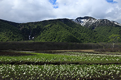 春の尾瀬ヶ原