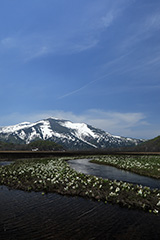 春の尾瀬ヶ原