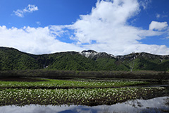 春の尾瀬ヶ原