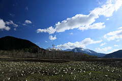 春の尾瀬ヶ原