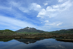 夏の尾瀬ヶ原