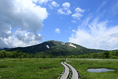 夏の尾瀬ヶ原