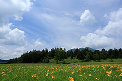 夏の尾瀬ヶ原