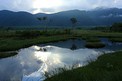 夏の尾瀬ヶ原