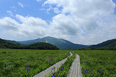 夏の尾瀬ヶ原