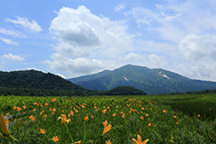 夏の尾瀬ヶ原