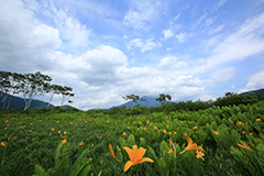 夏の尾瀬ヶ原