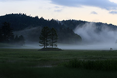 夏の尾瀬ヶ原の夜明け