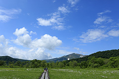 夏の尾瀬ヶ原