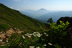 夏の尾瀬ヶ原