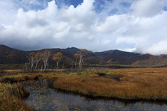 紅葉の尾瀬ヶ原