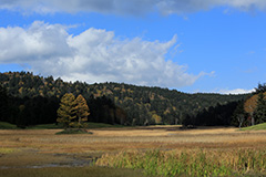 紅葉の尾瀬ヶ原