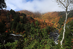 紅葉の尾瀬ヶ原