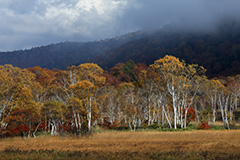 紅葉の尾瀬ヶ原