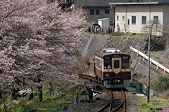 わたらせ渓谷鐵道