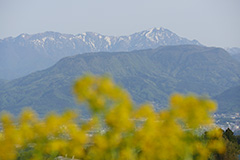 春の谷川岳