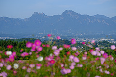 秋の妙義山