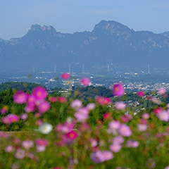 妙義山のフォト作品