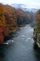 群馬の紅葉