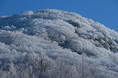 冬の黒檜山