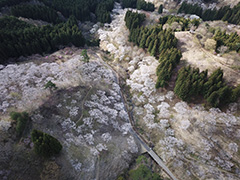 妙義山さくらの里の空撮