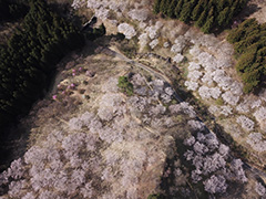 妙義山さくらの里の空撮