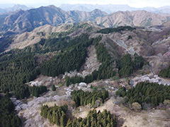 妙義山さくらの里の空撮