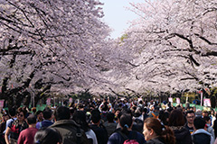 春の上野恩賜公園