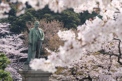 春の北の丸公園