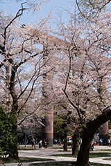 靖国神社