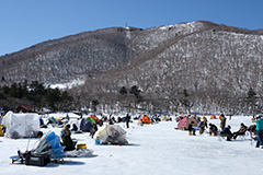 冬のワカサギ釣り