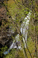 新緑の小中大滝