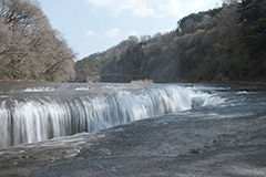 春の吹割の滝