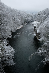 冬の雪景色