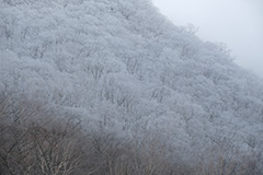 冬の雪景色