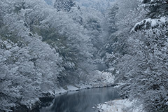 冬の雪景色