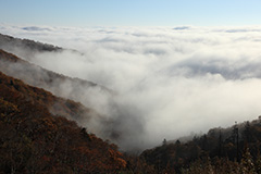 紅葉の雲海