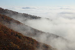 紅葉の雲海