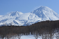 冬の羅臼岳