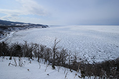 冬の流氷