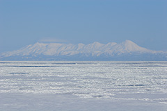 知床連山と流氷