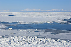 オホーツク海と流氷