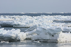 冬の流氷