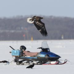 氷下待ち網漁のフォト作品